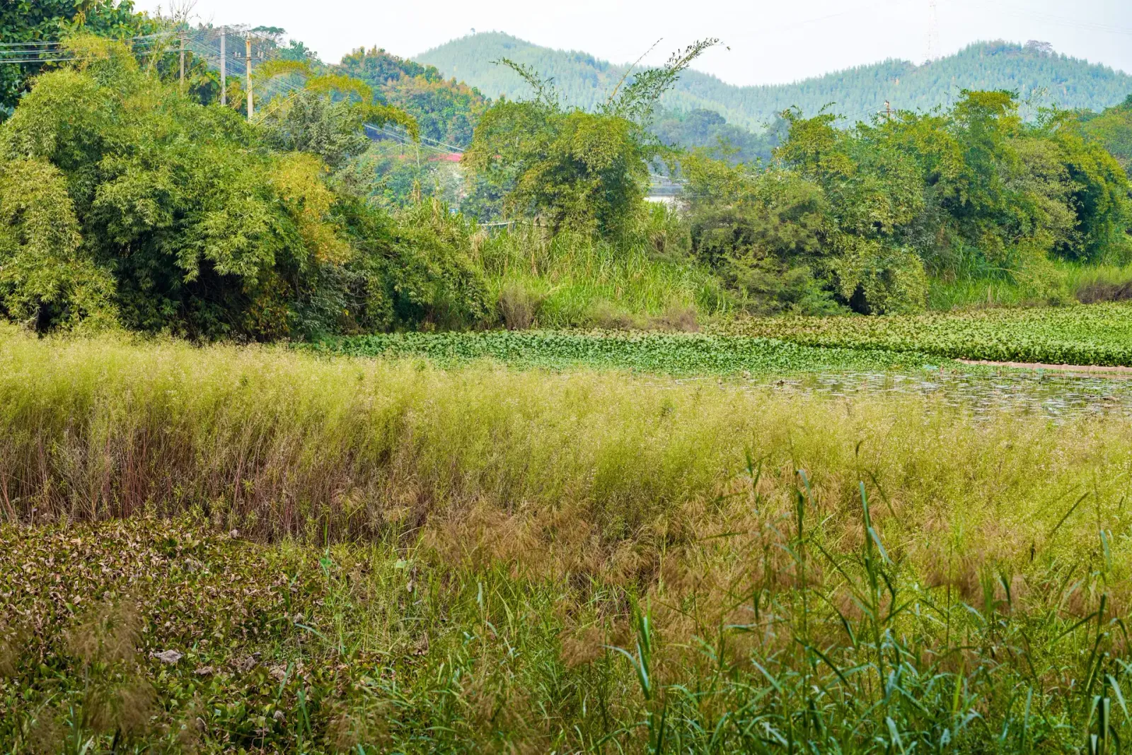 Everything You Need to Know About Wetting Agents